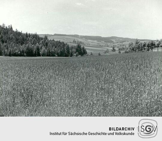 Blick auf Untertriebel