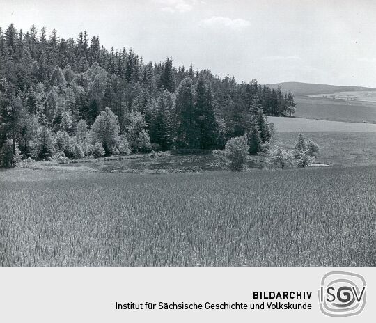 Forellenteiche bei Triebel