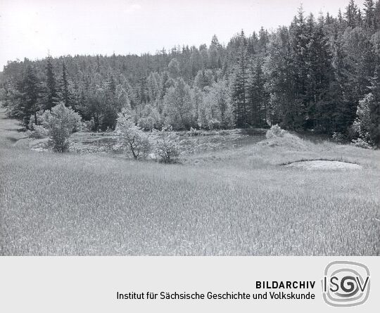 Forellenteiche bei Triebel