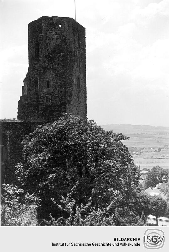 Burgruine in Stolpen