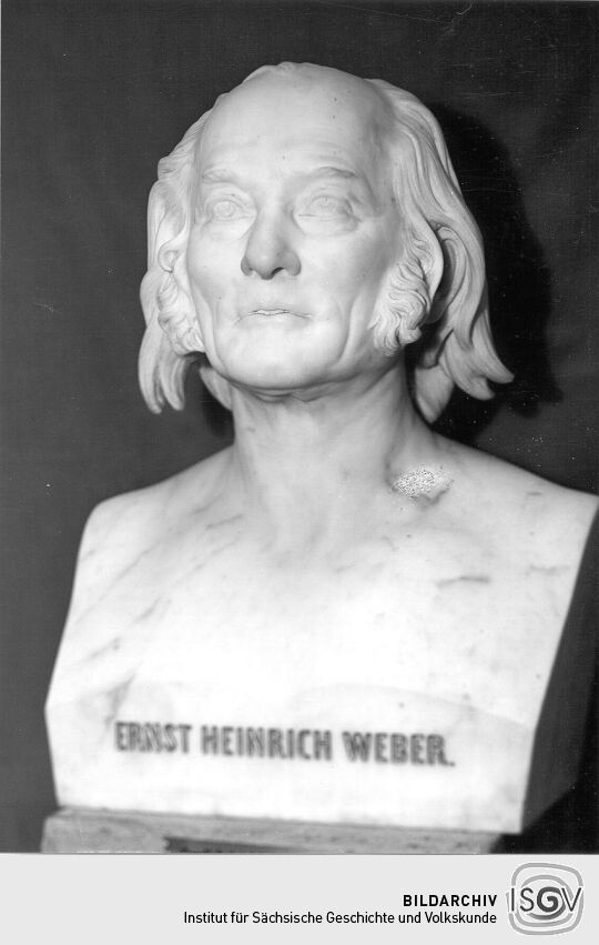 Ernst Heinrich Weber (Marmorbürste)