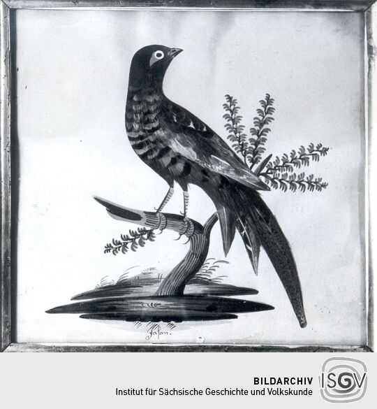 Vogelbild aus dem Heimatmuseum Sebnitz