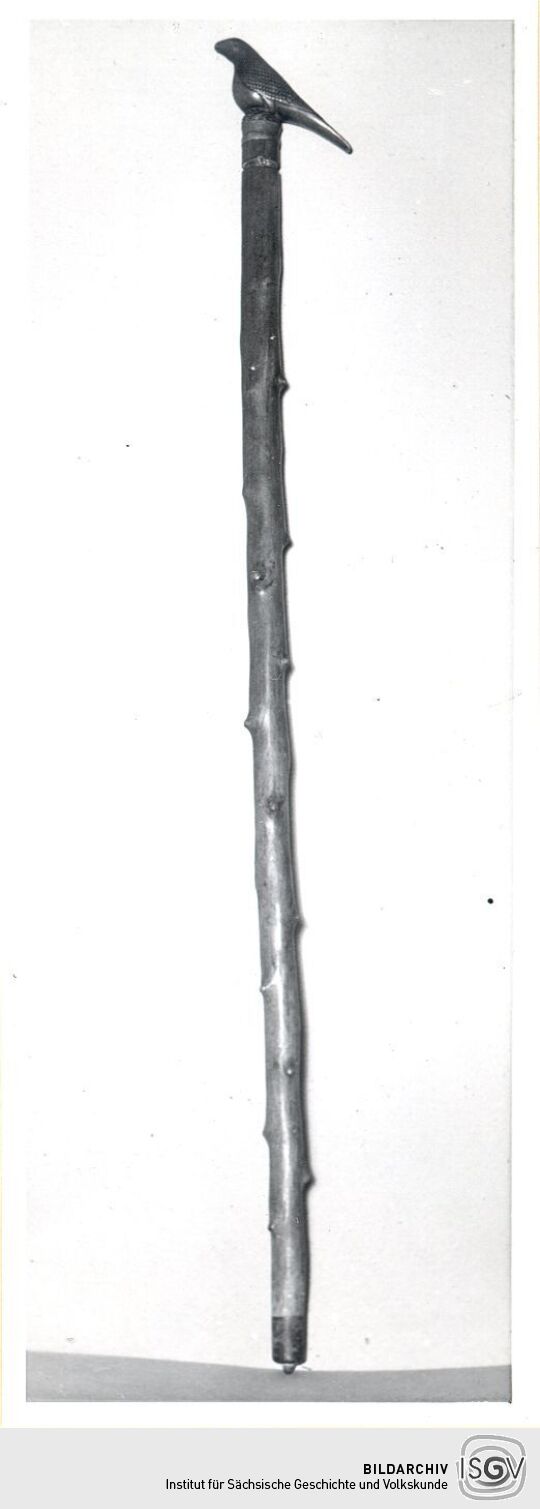 Spazierstock aus dem Heimatmuseum Nossen
