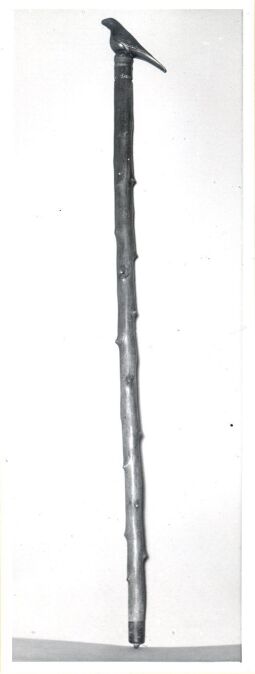 Bild: Spazierstock aus dem Heimatmuseum Nossen