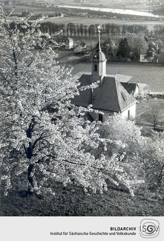 Blick zur Weinbergkirche in Pillnitz