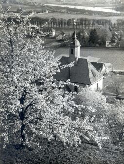 Bild: Blick zur Weinbergkirche in Pillnitz