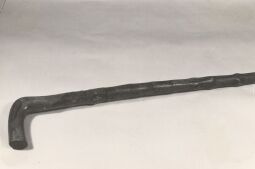 Bild: Spazierstock aus dem Stadtmuseum Zittau