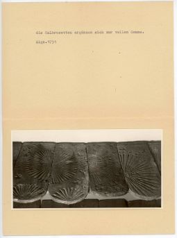 Bildkarte 033098