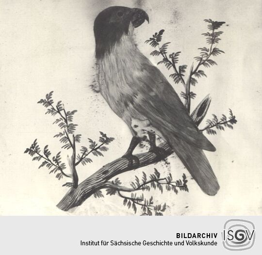 Vogelbild aus Ebersbach