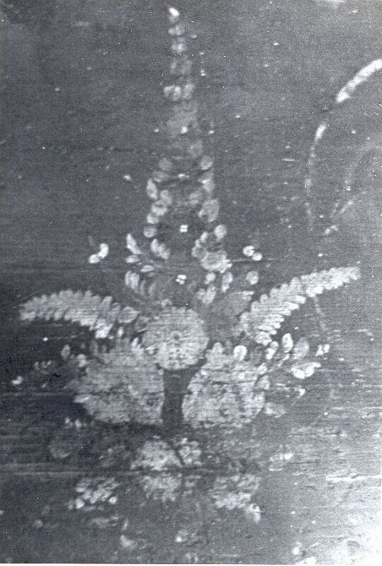 Truhe in Ruppersdorf