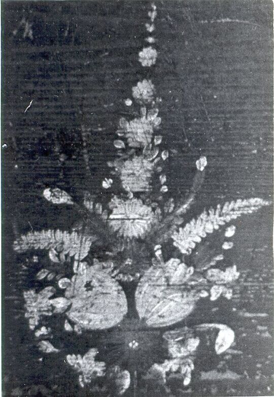 Truhe in Ruppersdorf