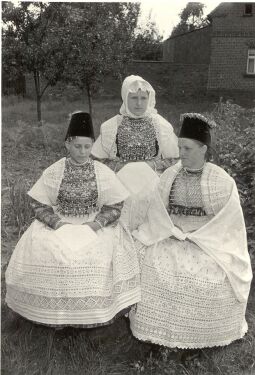 Bild: Sorbische Hochzeitstrachten aus Seidewinkel