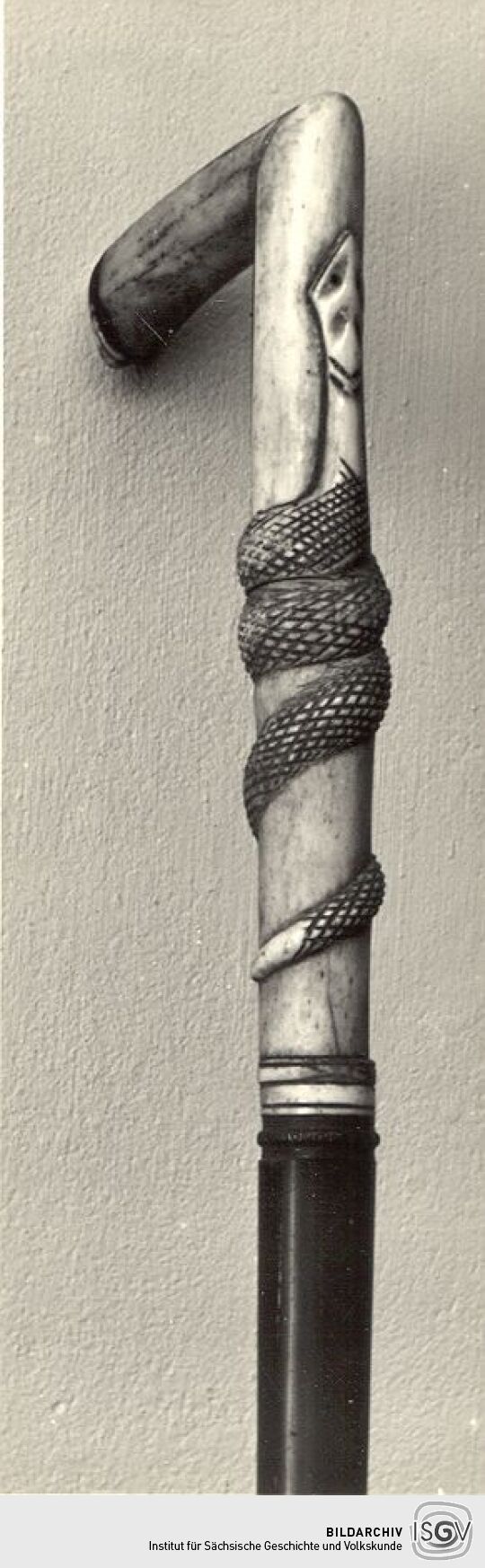 Spazierstock aus dem Heimatmuseum Neugersdorf