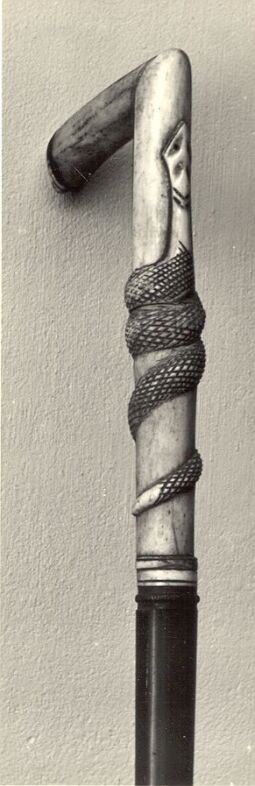 Bild: Spazierstock aus dem Heimatmuseum Neugersdorf