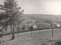 Bild: Blick nach Untertriebel