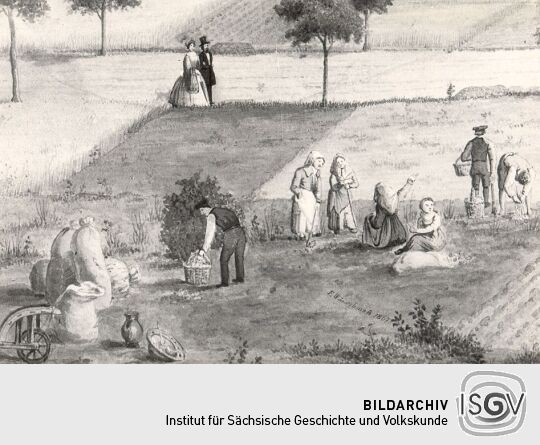 Landarbeiter bei der Kartoffelernte