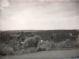 Bild: Burg Hohnstein