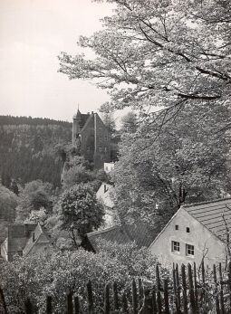 Bild: Burg Hohnstein