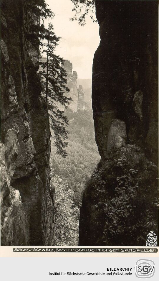 Postkarte: Basteischlucht gegen Gansfelsen