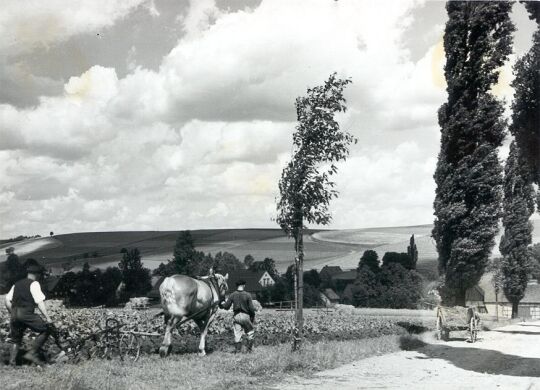 Blick auf Erlbach