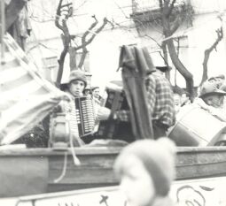 Bild: Schifferfastnacht in Rathen