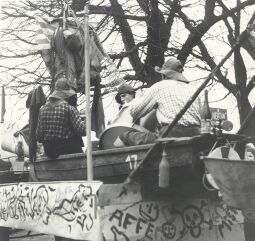 Bild: Schifferfastnacht in Rathen