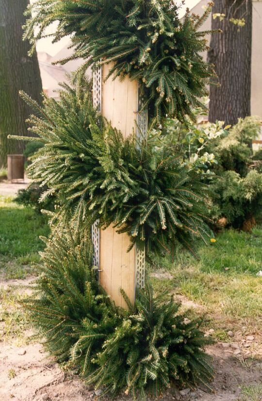 Maibaum der Gemeinde in Zschornau