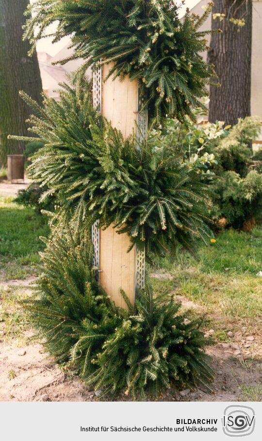 Maibaum der Gemeinde in Zschornau