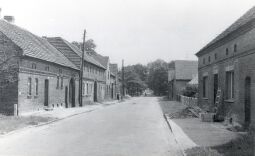 Bild: Straßenraum in Blumo