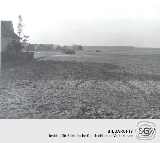 Landschaft bei Nochten