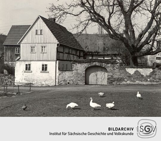 Bauernhof in Schweinerden