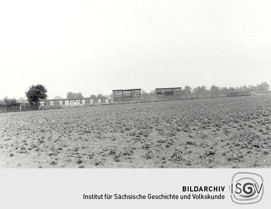 Geflügelfarm in Königswartha