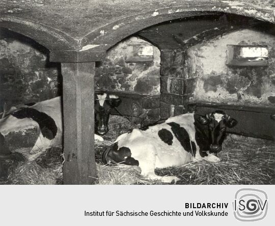 Alter Stall in Kreckwitz