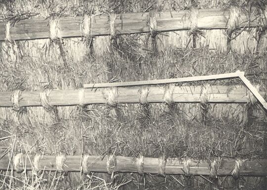 Wirtschaftsgebäude in Klein Partwitz, Detail