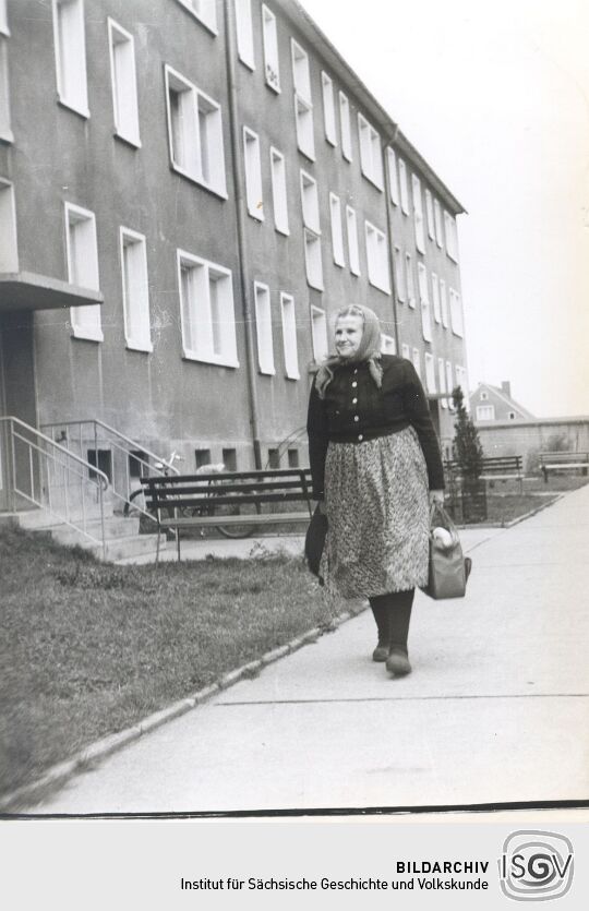 Neubauten in Schleife