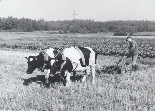 Bodenbearbeitung in Zschillichau