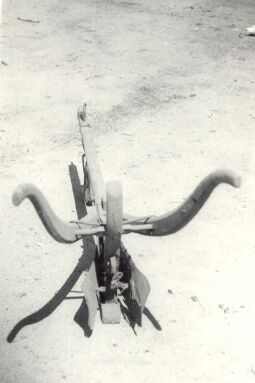 Bild: Landwirtschaftliches Arbeitsgerät in Sabrodt, Hakenpflug