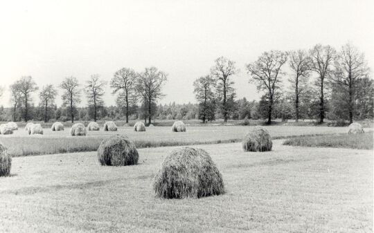 Feldarbeit in Groß Särchen