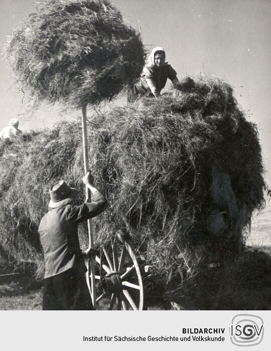 Feldarbeit in Crostwitz, Grumt