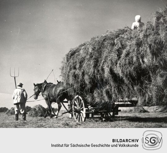 Feldarbeit in Crostwitz, Grumt