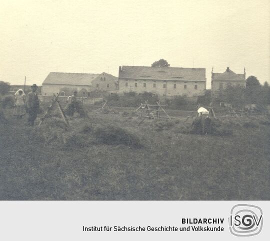 Feldarbeit in Panschwitz-Kuckau, Heuernte