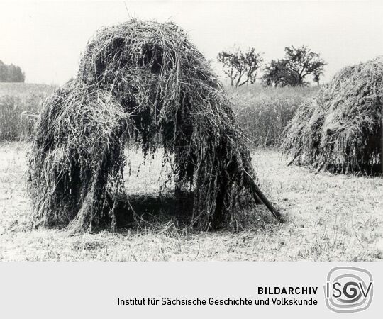 Feldarbeit in Schwarzadler, Kleetrocknung