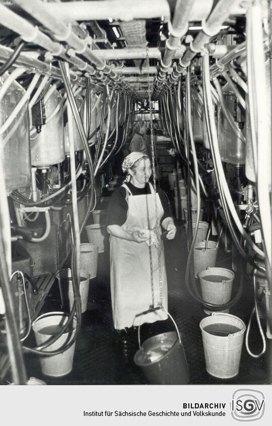 Melkanlage in Radibor