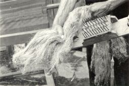 Bild: Flachsverarbeitung in Kreckwitz