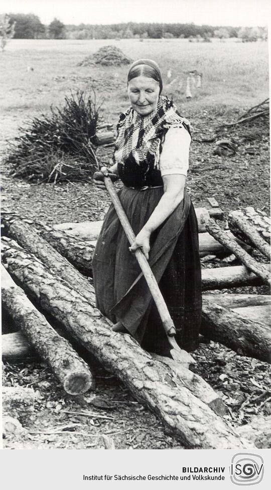 Verwendung eines Schäleisens in Sabrodt