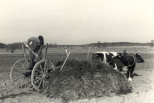 Feldarbeit in Zerna