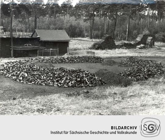 Holzkohlenherstellung in Rietschen, Holzkohle