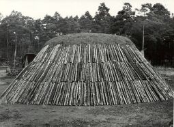 Bild: Holzkohlenherstellung in Rietschen, Kohlenmeiler