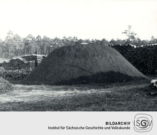 Holzkohlenherstellung in Rietschen, Kohlenmeiler