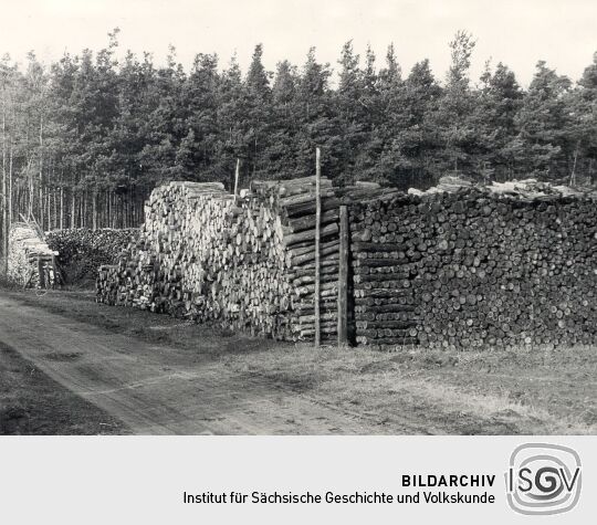 Holzkohlenherstellung in Rietschen, Meilerplatz